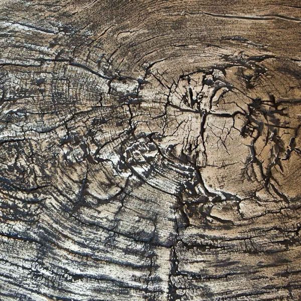 albeo brass  coffee table in wood by Irene Maria ganser