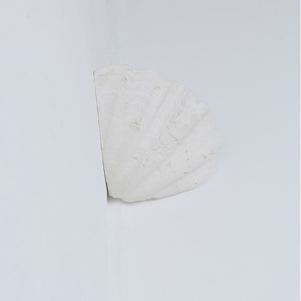 Applique Coquillage Angle Axel Chay | Chiara Colombini