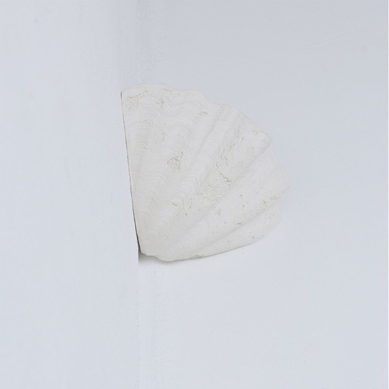 Applique Coquillage Angle Axel Chay | Chiara Colombini