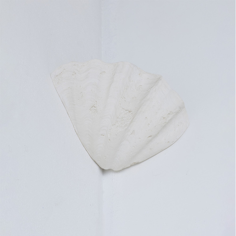 Applique Coquillage Angle Axel Chay | Chiara Colombini