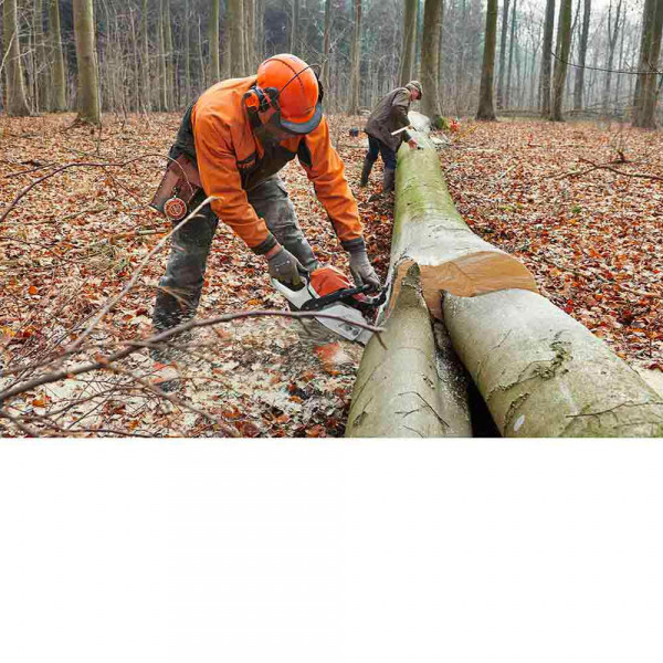 Ouvrier forêt