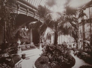 Jardin d'Hiver, Musée Henner