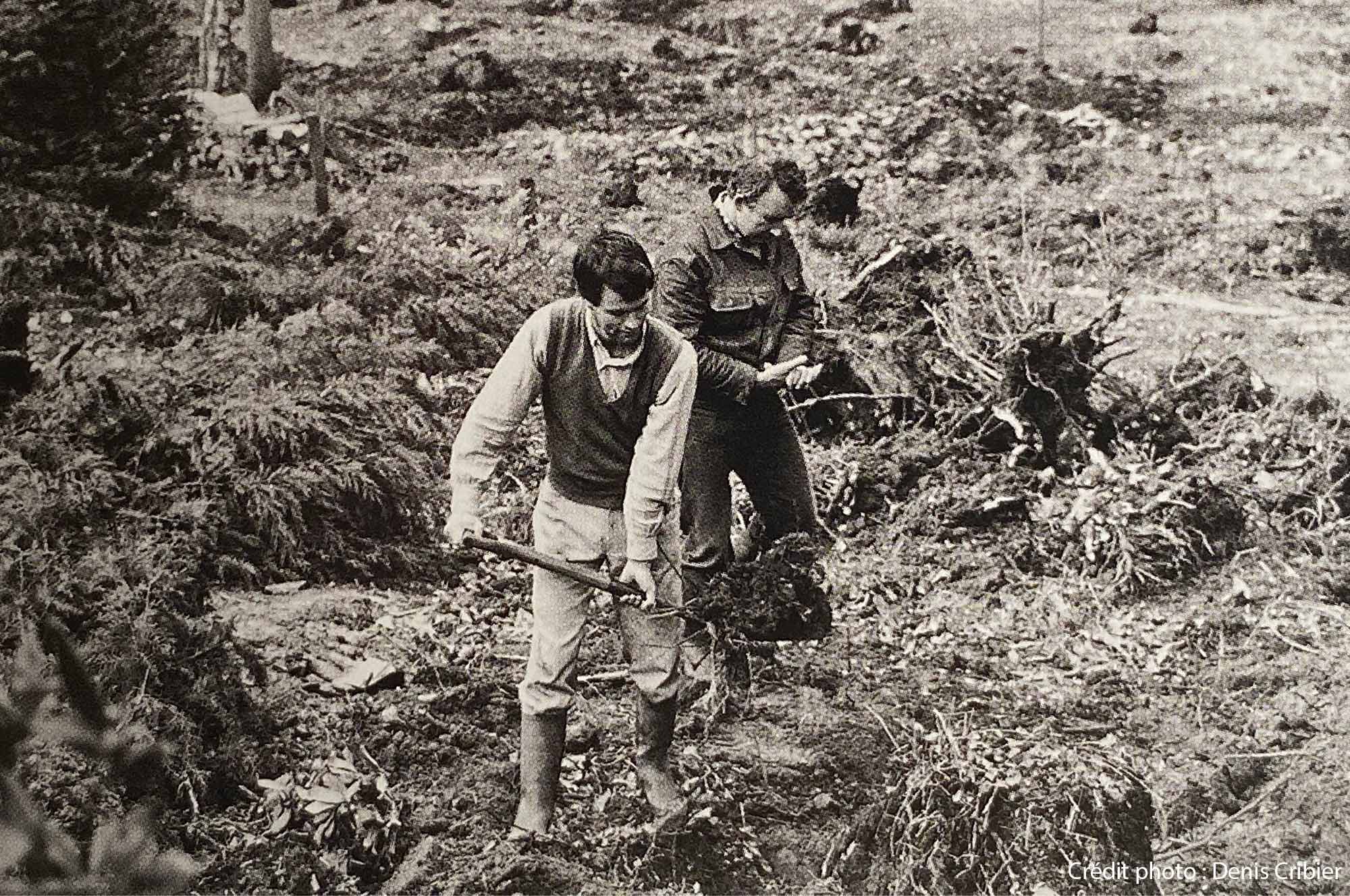 photo du livre "itinéraire d'un jardinier" Pascal Cribier