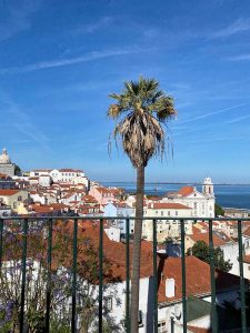 Lisbon-Design-Week-2024-la-ville nature